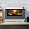 Panasonic蒸氣烘烤爐，蒸、烤、煎、炸、烘、燉，一爐就OK！