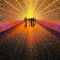 日本冬季光之祭典 壯麗的光之迴廊