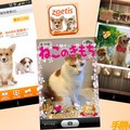 【精選】智慧手機 / 平板軟體：寵物篇