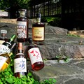 東洋春光 — 超越顛峰的日本威士忌 The New Whisky Focus In The World