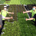 綠色大學╳永續人才，USR為台灣未來加值
