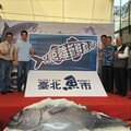 北台灣也有黑鮪魚經濟，蘇澳年產值破兩億