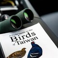 亞洲賞鳥首選 感受台灣鳥時光