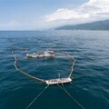 定置漁場風光 魚串起人與大海的距離