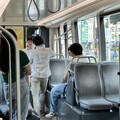 「高雄輕軌成圓」明年元旦試營運 提供乘客免費搭乘體驗