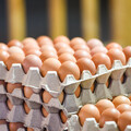 雞蛋、雞肉怎麼挑最新鮮？可以用水煮蛋來測試