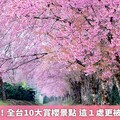 櫻花季開跑！全台10大賞櫻景點 這1處更被日本認證過