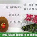 中國奇異果、菠菜段驗出農藥超標 食藥署加強查驗手法