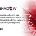LinkShadow 被《2024 年 Gartner® 網路偵測與回應市場指南》 評為代表性供應商