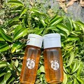 臺東首款產自保安林自然熟成蜂蜜 「蜜源林海」 2024森林市集登場邀您甜蜜嘗鮮