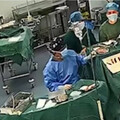 開腦手術到一半…遇新疆7.1級地震！ 醫生淡定完成：我在搶救病人不能走