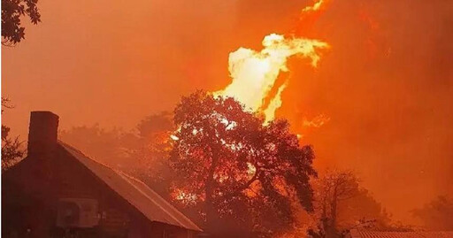 澳洲森林大火3萬人撤離 當局：有災難性危險