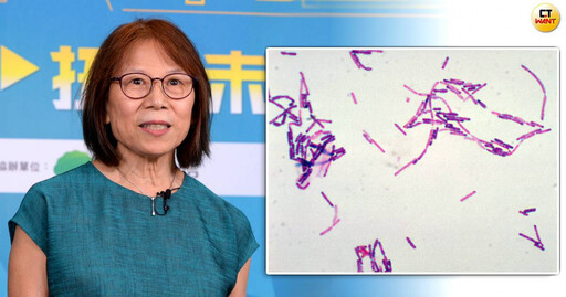 食安連環爆2／專家一度認為「仙人掌桿菌更像兇手」 米酵菌竟可在人體繁殖