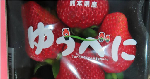 日本草莓又驗出農藥殘留 食藥署︰472公斤全銷毀「4月放寬4項農藥殘留標準」