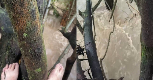 去肯亞觀察動物遭遇水壩潰堤 台旅客帶「這一物」爬樹避水成功獲救