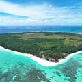 環灘島將成「世界第一的零碳島」 直擊復育海龜、保護海洋進行式