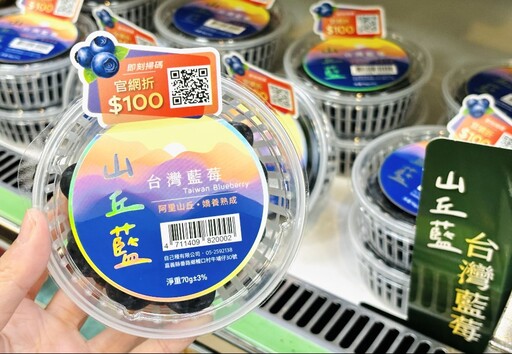 把不可能變可能！全家聯手「山丘藍」藍莓霜淇淋開賣日曝光 自己種的台灣藍莓最好吃
