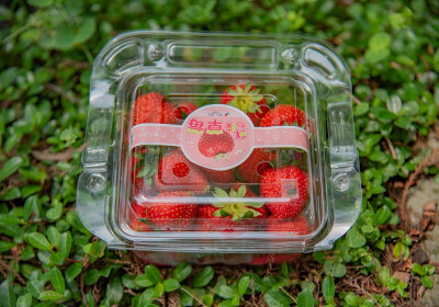 台灣第一個碳標籤認證草莓 台一休閒農場「400g塑膠手提盒草莓」