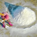 雲嘉南管理處推出特色鹽花禮盒 入選國宴伴手禮