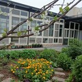 穿龍豆腐坊12周年 打造苗栗公館在地永續食農基地AgriGreen Hub