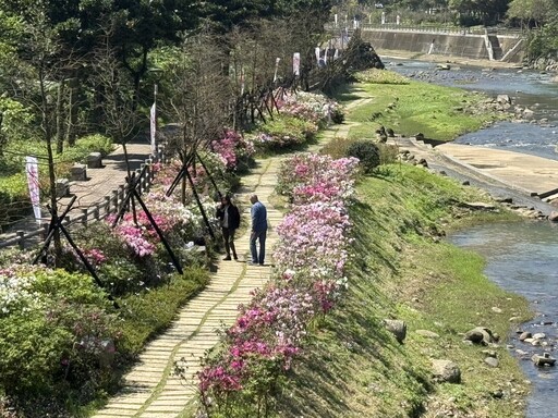萬金杜鵑雙北合作 即日起將於台北大安森林公園絢麗綻放