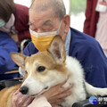 治療犬暖心互動 北榮新竹分院護理之家洋溢歡樂氛圍