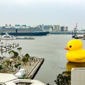 黃色小鴨魅力無窮！高雄國際觀光吸引逾870萬人次朝聖