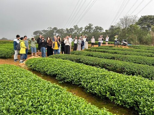 奧地利學生參訪楊梅双霖茶莊 體驗客家風情與職人製茶