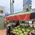 西瓜盛產季節 臺西警民「護瓜聯盟」防竊