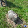 國定古蹟石像生羊首遭竊 竹市府文化局報案處理