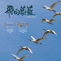 台江鳥類生態影片《飛向蔚藍》榮獲2項國際大獎