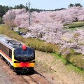 日本東北櫻花秘所5選 兼愛情祈願、追白神號列車