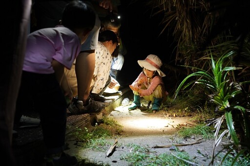 夜探三仙台 東海岸國家風景區推出「星空尋訪夜精靈」系列活動