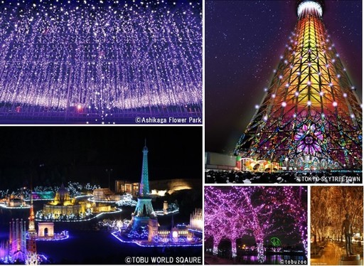 從東京出發當天來回～或兩天一夜的小旅行 冬季限定燈光秀５大推薦景點