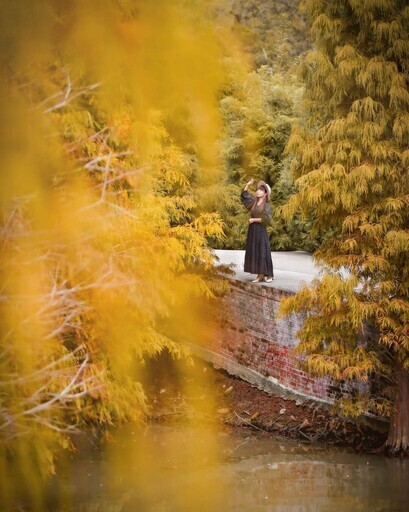 全台景點｜秋冬不可錯過的6大落羽松秘景，彷彿是一幅大自然的畫作 - ReadyGo