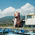 14米的擁抱貓咪超萌在看海美術館現身 - 旅遊經