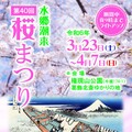 「水鄉潮來櫻花祭」3月23日開始囉!!