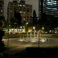 榮星花園公園螢火蟲閃耀