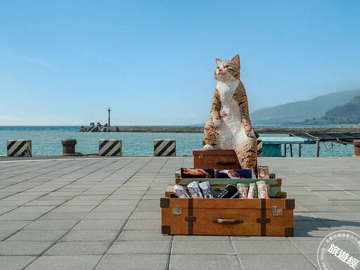 14米的擁抱貓咪超萌在看海美術館現身