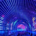 深澳鐵道自行車獲「觀光亮點獎」肯定 耶誕限定光雕隧道精彩登場