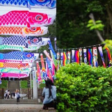 桃園神社鯉魚流光祭盛大回歸！3 米鯉魚旗飄揚空中 美拍日系打卡點 DIY 鯉魚和菓子