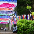 桃園神社鯉魚流光祭盛大回歸！3 米鯉魚旗飄揚空中 美拍日系打卡點 DIY 鯉魚和菓子