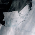 國家地理新鮮聞：西部南極洲冰層消融危機