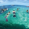 金色加勒比海，海島奢華度假：和魚群悠游海中花園