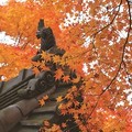 鷹峯三寺，洗滌心靈的紅葉祕境