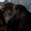 進化變成革命：猩球崛起 Rise of the Planet of the Apes