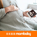 孕期280天全紀錄！一次掌握胎兒發育與產檢重點