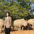 獨家專訪〉六福復育白犀牛 日本跨海來提親