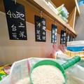 米食復興運動 從一粒米開始的講究