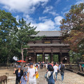 平安時代延續至今的「極樂淨土」之美 —奈良